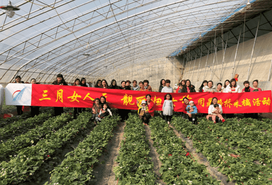 mg不朽情缘(中国区)官方网站