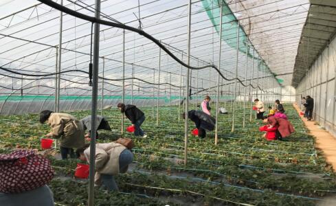 mg不朽情缘(中国区)官方网站
