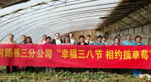 mg不朽情缘(中国区)官方网站