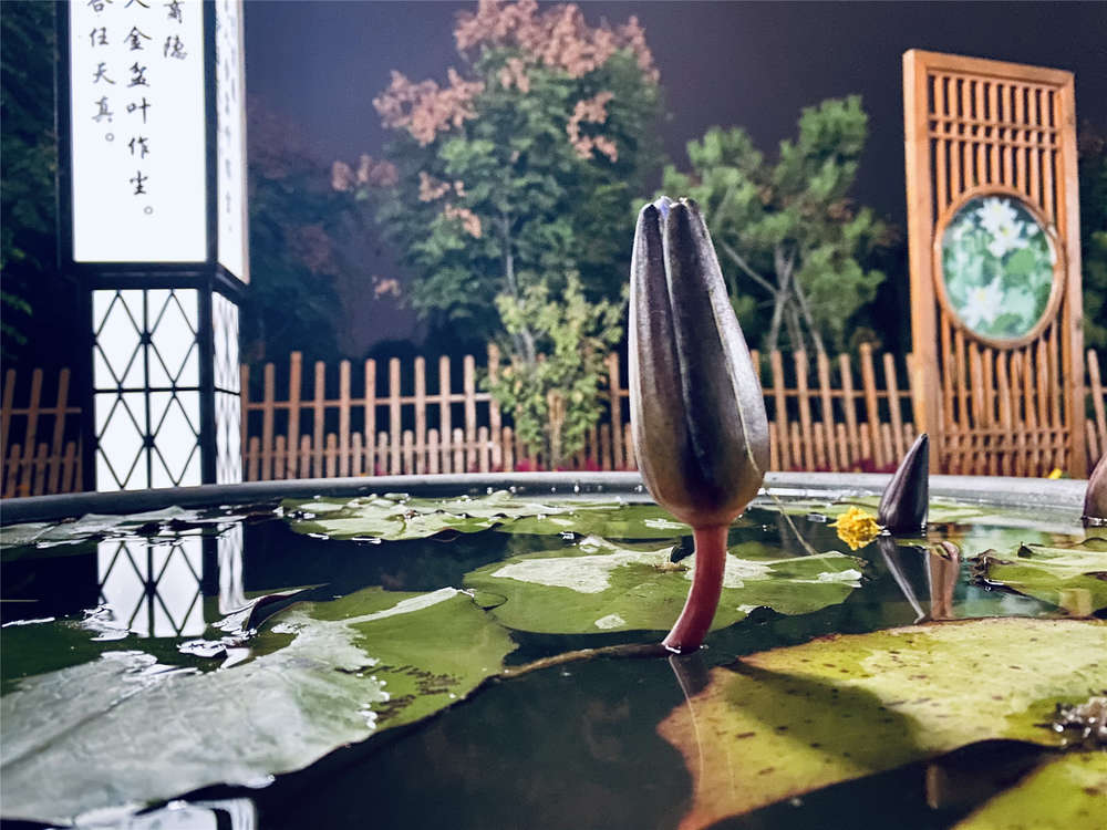 mg不朽情缘(中国区)官方网站